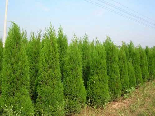 ������������һ��