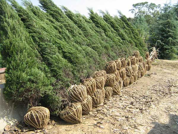 ������װ�ȴ�����