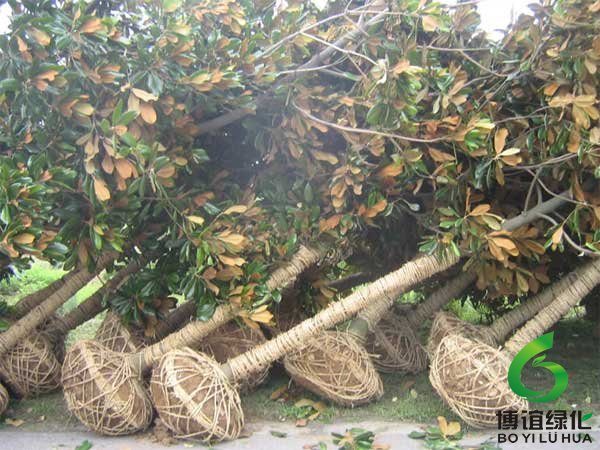 ��װ�õȴ�����Ĺ�������