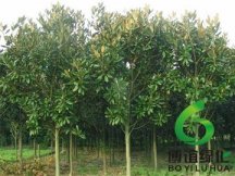 ������,�������۸�,��ʩ����������