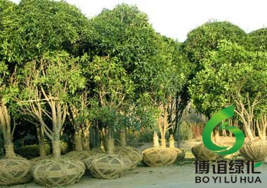 ��װ�õȴ�����Ĺ���