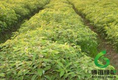 ����,��ʩ�����۸�,��ʩ��������