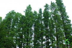 ˮɼ,��ʩˮɼ����,��ʩˮɼ�۸�