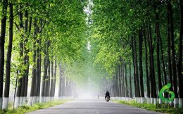 ����,��ʩ��������,��ʩ����۸�,��ʩ������