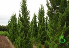 ����,��ʩ��������,��ʩ���ؼ۸�