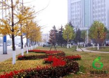 ����,��ʩ��������,��ʩ��������۸�