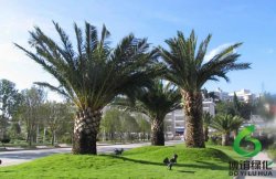 ���,��ʩ�������,��ʩ�������۸�