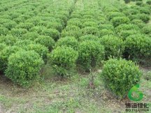 ����,��ʩ��������,��ʩ��������۸�