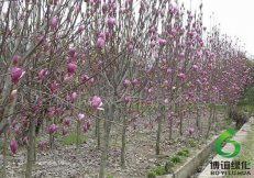 ������,��ʩ����������,��ʩ�������۸�