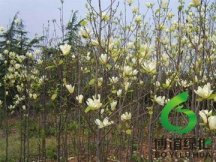 ������,��ʩ�������۸�,��ʩ����������